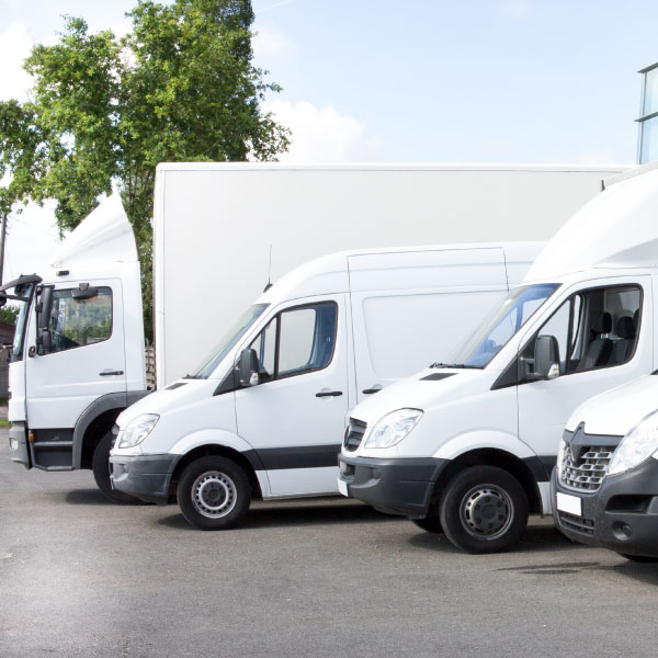 Looking for the most reliable van for your Business? 1 most reliable vans